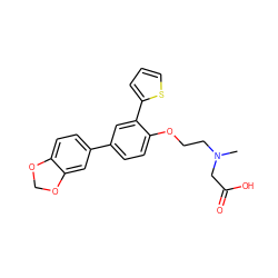 CN(CCOc1ccc(-c2ccc3c(c2)OCO3)cc1-c1cccs1)CC(=O)O ZINC000028958394