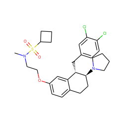 CN(CCOc1ccc2c(c1)[C@H](Cc1ccc(Cl)c(Cl)c1)[C@@H](N1CCCC1)CC2)S(=O)(=O)C1CCC1 ZINC000143251699