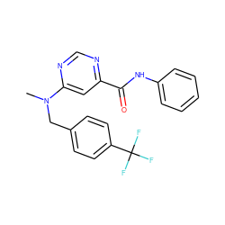 CN(Cc1ccc(C(F)(F)F)cc1)c1cc(C(=O)Nc2ccccc2)ncn1 ZINC001772609403