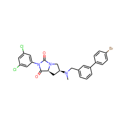 CN(Cc1cccc(-c2ccc(Br)cc2)c1)[C@H]1C[C@H]2C(=O)N(c3cc(Cl)cc(Cl)c3)C(=O)N2C1 ZINC000028360537