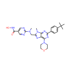 CN(Cc1nc2c(N3CCOCC3)nc(-c3ccc(C(C)(C)C)cc3)nc2n1C)c1ncc(C(=O)NO)cn1 ZINC000653837919