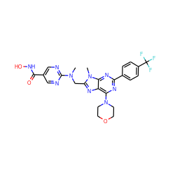 CN(Cc1nc2c(N3CCOCC3)nc(-c3ccc(C(F)(F)F)cc3)nc2n1C)c1ncc(C(=O)NO)cn1 ZINC000653819572