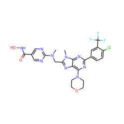 CN(Cc1nc2c(N3CCOCC3)nc(-c3ccc(Cl)c(C(F)(F)F)c3)nc2n1C)c1ncc(C(=O)NO)cn1 ZINC000653838791