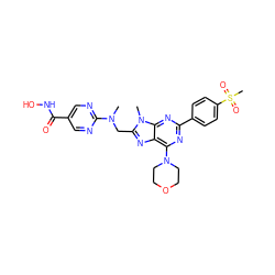 CN(Cc1nc2c(N3CCOCC3)nc(-c3ccc(S(C)(=O)=O)cc3)nc2n1C)c1ncc(C(=O)NO)cn1 ZINC000653840624