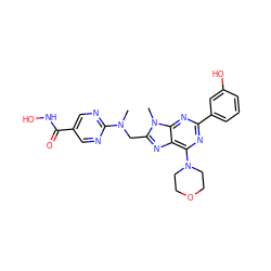 CN(Cc1nc2c(N3CCOCC3)nc(-c3cccc(O)c3)nc2n1C)c1ncc(C(=O)NO)cn1 ZINC000653823841