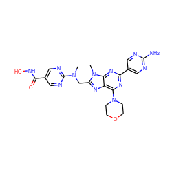 CN(Cc1nc2c(N3CCOCC3)nc(-c3cnc(N)nc3)nc2n1C)c1ncc(C(=O)NO)cn1 ZINC000653835441