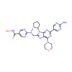 CN(Cc1nc2c(N3CCOCC3)nc(-c3cnc(N)nc3)nc2n1C1CCCC1)c1ncc(C(=O)NO)cn1 ZINC000653833386