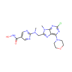 CN(Cc1nc2c(N3CCOCC3)nc(Cl)nc2n1C)c1ncc(C(=O)NO)cn1 ZINC000653823816