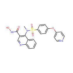 CN(c1c(C(=O)NO)cnc2ccccc12)S(=O)(=O)c1ccc(Oc2ccncc2)cc1 ZINC000013489441