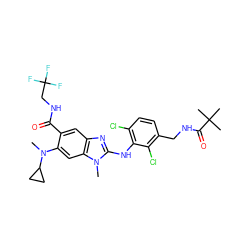 CN(c1cc2c(cc1C(=O)NCC(F)(F)F)nc(Nc1c(Cl)ccc(CNC(=O)C(C)(C)C)c1Cl)n2C)C1CC1 ZINC000169700890