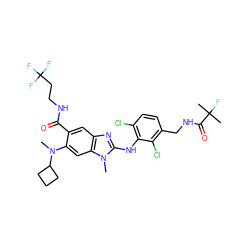 CN(c1cc2c(cc1C(=O)NCCC(F)(F)F)nc(Nc1c(Cl)ccc(CNC(=O)C(C)(C)F)c1Cl)n2C)C1CCC1 ZINC000169701028