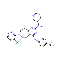 CN(c1nc2c(c(Nc3ccc(C(F)(F)F)cc3)n1)CCN(c1ncccc1C(F)(F)F)CC2)[C@@H]1CCCNC1 ZINC000066258803