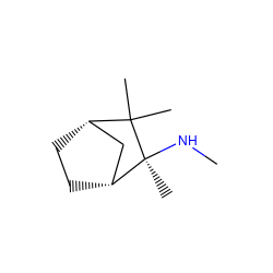 CN[C@@]1(C)[C@@H]2CC[C@@H](C2)C1(C)C ZINC000043763856