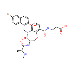 CN[C@@H](C)C(=O)N[C@H]1COc2c(C(=O)NCCC(=O)O)cccc2N(Cc2c(OC)ccc3cc(Br)ccc23)C1=O ZINC000144029658