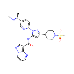 CN[C@@H](C)c1ccc(-n2nc(C3CCN(S(C)(=O)=O)CC3)cc2NC(=O)c2cnn3cccnc23)nc1 ZINC000203750944