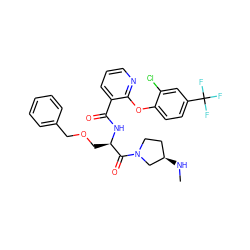 CN[C@@H]1CCN(C(=O)[C@@H](COCc2ccccc2)NC(=O)c2cccnc2Oc2ccc(C(F)(F)F)cc2Cl)C1 ZINC000073159988