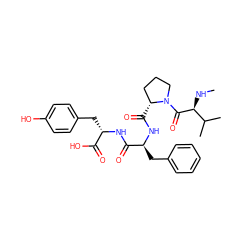 CN[C@H](C(=O)N1CCC[C@H]1C(=O)N[C@@H](Cc1ccccc1)C(=O)N[C@@H](Cc1ccc(O)cc1)C(=O)O)C(C)C ZINC000028385562