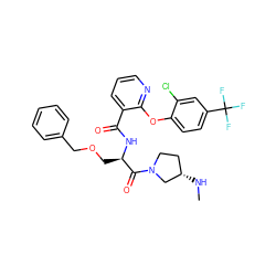 CN[C@H]1CCN(C(=O)[C@@H](COCc2ccccc2)NC(=O)c2cccnc2Oc2ccc(C(F)(F)F)cc2Cl)C1 ZINC000073166937