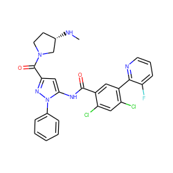 CN[C@H]1CCN(C(=O)c2cc(NC(=O)c3cc(-c4ncccc4F)c(Cl)cc3Cl)n(-c3ccccc3)n2)C1 ZINC001772578681