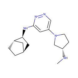 CN[C@H]1CCN(c2cnnc(N[C@H]3C[C@H]4CC[C@H]3C4)c2)C1 ZINC000299854576