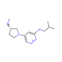 CN[C@H]1CCN(c2cnnc(NCC(C)C)c2)C1 ZINC000116600475