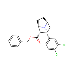 CN1[C@H]2CC[C@@H]1[C@@H](C(=O)OCc1ccccc1)[C@@H](c1ccc(Cl)c(Cl)c1)C2 ZINC000013523243