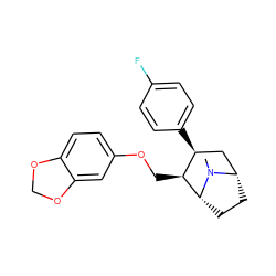 CN1[C@H]2CC[C@@H]1[C@@H](COc1ccc3c(c1)OCO3)[C@@H](c1ccc(F)cc1)C2 ZINC000013776966