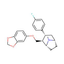 CN1[C@H]2CC[C@@H]1[C@@H](COc1ccc3c(c1)OCO3)[C@H](c1ccc(F)cc1)C2 ZINC000013776976