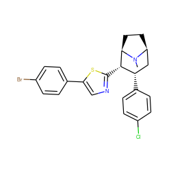 CN1[C@H]2CC[C@@H]1[C@@H](c1ncc(-c3ccc(Br)cc3)s1)[C@@H](c1ccc(Cl)cc1)C2 ZINC000014978590