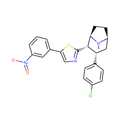 CN1[C@H]2CC[C@@H]1[C@@H](c1ncc(-c3cccc([N+](=O)[O-])c3)s1)[C@@H](c1ccc(Cl)cc1)C2 ZINC000014978598