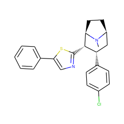 CN1[C@H]2CC[C@@H]1[C@@H](c1ncc(-c3ccccc3)s1)[C@@H](c1ccc(Cl)cc1)C2 ZINC000013756872