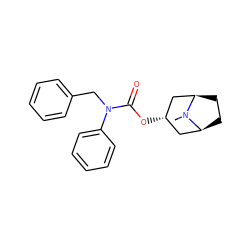 CN1[C@H]2CC[C@@H]1C[C@@H](OC(=O)N(Cc1ccccc1)c1ccccc1)C2 ZINC000101152252