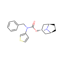 CN1[C@H]2CC[C@@H]1C[C@@H](OC(=O)N(Cc1ccccc1)c1ccsc1)C2 ZINC000101151859