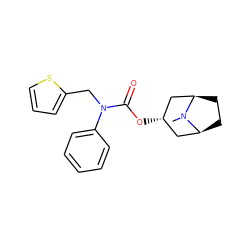 CN1[C@H]2CC[C@@H]1C[C@@H](OC(=O)N(Cc1cccs1)c1ccccc1)C2 ZINC000101152314