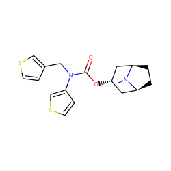 CN1[C@H]2CC[C@@H]1C[C@@H](OC(=O)N(Cc1ccsc1)c1ccsc1)C2 ZINC000101152338