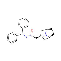 CN1[C@H]2CC[C@@H]1C[C@H](CC(=O)NC(c1ccccc1)c1ccccc1)C2 ZINC000100897412