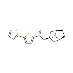 CN1[C@H]2CC[C@@H]1C[C@H](NC(=O)c1ccc(-c3cccs3)s1)C2 ZINC000169354010