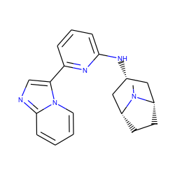 CN1[C@H]2CC[C@@H]1C[C@H](Nc1cccc(-c3cnc4ccccn34)n1)C2 ZINC000261172589