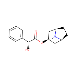 CN1[C@H]2CC[C@@H]1C[C@H](OC(=O)[C@H](O)c1ccccc1)C2 ZINC000100016393