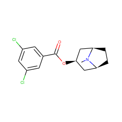 CN1[C@H]2CC[C@@H]1C[C@H](OC(=O)c1cc(Cl)cc(Cl)c1)C2 ZINC000100373652