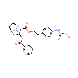 CN1[C@H]2CC[C@@H]1C[C@H](OC(=O)c1ccccc1)[C@@H]2C(=O)OCCc1ccc(NC(=O)CBr)cc1 ZINC000029205460