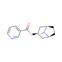 CN1[C@H]2CC[C@@H]1C[C@H](OC(=O)c1cccnc1)C2 ZINC000100075367