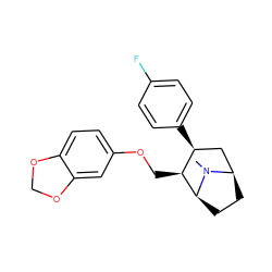 CN1[C@H]2CC[C@@H]1C[C@H](c1ccc(F)cc1)[C@@H]2COc1ccc2c(c1)OCO2 ZINC000084638488