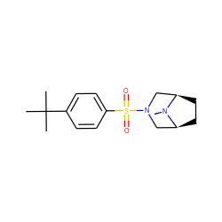 CN1[C@H]2CC[C@@H]1CN(S(=O)(=O)c1ccc(C(C)(C)C)cc1)C2 ZINC000087690223