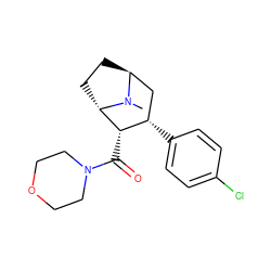 CN1[C@H]2CC[C@H]1[C@@H](C(=O)N1CCOCC1)[C@@H](c1ccc(Cl)cc1)C2 ZINC000253641673