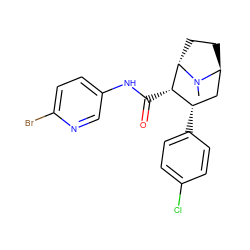 CN1[C@H]2CC[C@H]1[C@@H](C(=O)Nc1ccc(Br)nc1)[C@@H](c1ccc(Cl)cc1)C2 ZINC000261088327