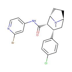 CN1[C@H]2CC[C@H]1[C@@H](C(=O)Nc1ccnc(Br)c1)[C@@H](c1ccc(Cl)cc1)C2 ZINC000261089445