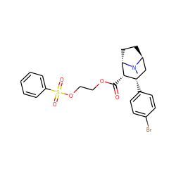 CN1[C@H]2CC[C@H]1[C@@H](C(=O)OCCOS(=O)(=O)c1ccccc1)[C@@H](c1ccc(Br)cc1)C2 ZINC000253681638