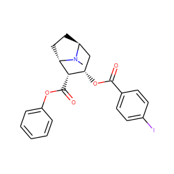 CN1[C@H]2CC[C@H]1[C@@H](C(=O)Oc1ccccc1)[C@@H](OC(=O)c1ccc(I)cc1)C2 ZINC000261185439