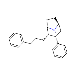 CN1[C@H]2CC[C@H]1[C@@H](CCCc1ccccc1)[C@@H](c1ccccc1)C2 ZINC000253689911